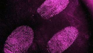 Image result for Fingerprint Capture