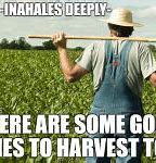 Image result for Harvest Memes
