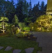 Image result for Yard at Night
