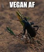 Image result for Fanatical Vegan GIF