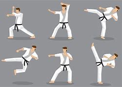 Image result for Best Karate Moves