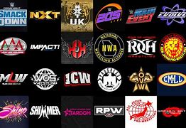 Image result for Custom Wrestling Show