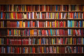 Image result for Fiction About Library