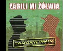 Image result for co_oznacza_zabili_mi_Żółwia