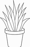 Image result for nature plants drawing