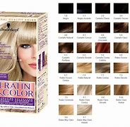 Image result for Schwarzkopf Keratin Hair Color Shades