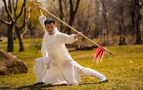Image result for Chinese Kung Fu Quando