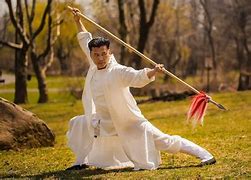 Image result for Chinese Martial Arts Pose