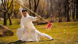 Image result for Tradinitional Chinese Martial Arts