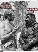 Image result for Planet of the Apes Funny