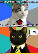 Image result for Business Cat Meme Deadline