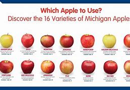 Image result for Variet Apple