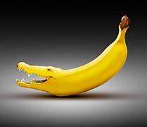 Image result for Banana Alligator Clips