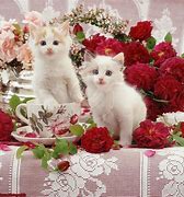 Image result for Cat Handing You Flowers
