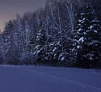 Image result for Frozen Winterfield Night