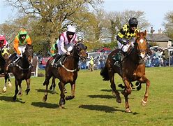 Image result for Sports Horse Racing