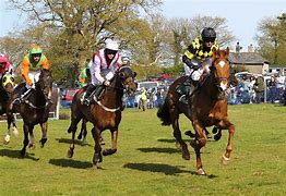 Image result for Horse Racing Hoast