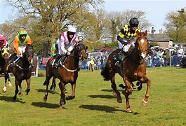 Image result for Horse Racing Books