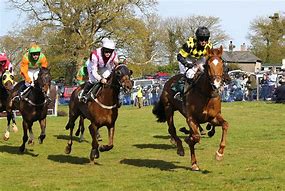 Image result for Victorian Horse Racing