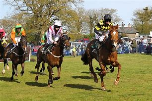 Image result for Horse Racing Panoramic