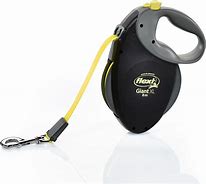 Image result for Steel Dog Retractable Leash