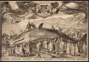 Image result for Beached Whale Painting