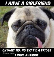 Image result for Silly Pug Quotes