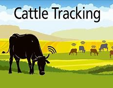 Image result for Cattle Rustling in Africa