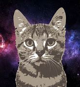 Image result for Space Cat Shirt Tabby Aviators