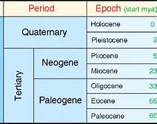 Image result for Miocene Epoch Timeline