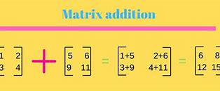 Image result for 20003 Matrix