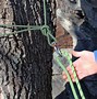 Image result for Wall Climbing Carabiner Top Rope System