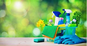 Image result for Housekeeping Cleaner