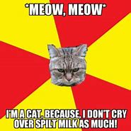 Image result for Crying Phone Cat Meme