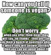 Image result for Beyond Vegan Meme