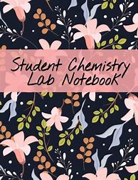 Image result for Bad Lab Notebook