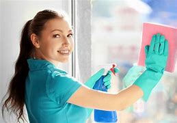 Image result for Professional House Cleaning Services