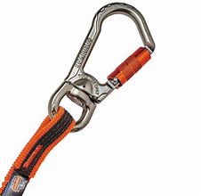 Image result for Double Carabiner