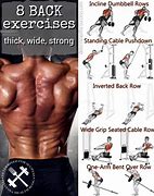 Image result for Great Back Workouts