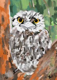 Image result for Tawny Frogmouth Drawing