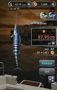 Image result for Fishing Hook Game