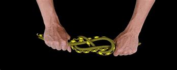 Image result for Rope Line Clip
