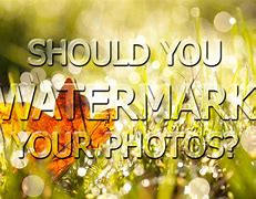 Image result for Not Bought Watermark