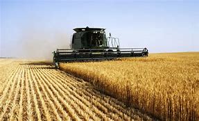 Image result for Farming Industry