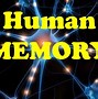 Image result for Human Memory Psychology