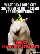 Image result for Cat Birthday Jokers