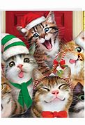 Image result for Funny Christmas Cards with Cats