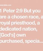 Image result for 1 Peter 29