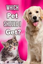Image result for What Pet Should You Get