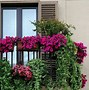 Image result for Balcony Hanging Planters